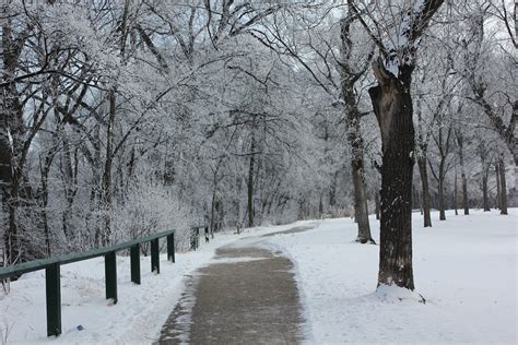 IAWP Region 12 -Western & Northern Canada: Winnipeg Winter Wonderland