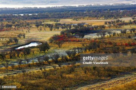 62 Bolshoy Ussuriysky Island Stock Photos, High-Res Pictures, and ...