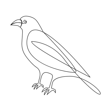 Vector crow drawing in one continuous line isolated on white background ...