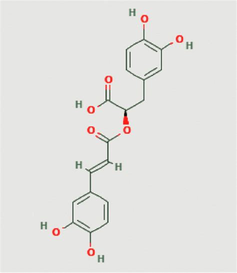 Rosmarinic Acid: A Boon in the Management of Cardiovascular Disease