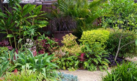 Don's Tips: Grouping Plants - Burke's Backyard