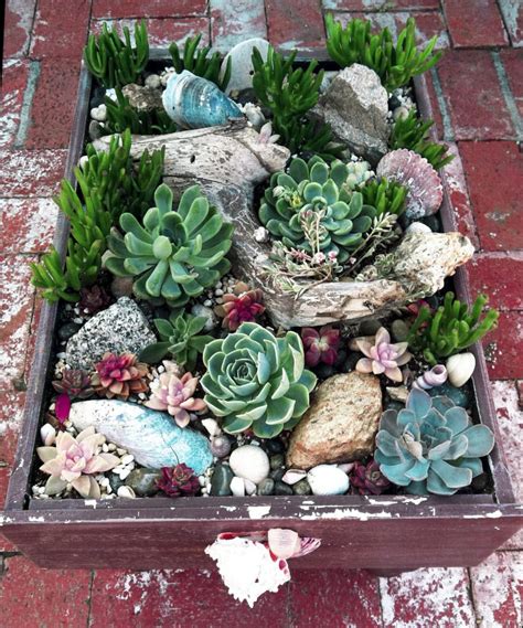 25+ Beautiful Succulent Garden Ideas and Designs (Indoor and Outdoor)