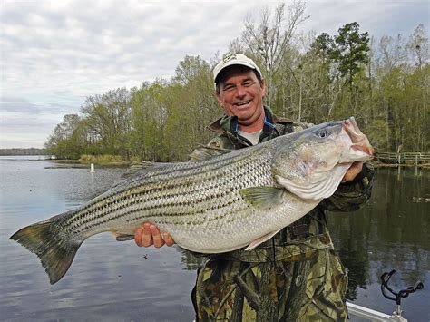 Lake Marion Sc Fishing Report - Unique Fish Photo