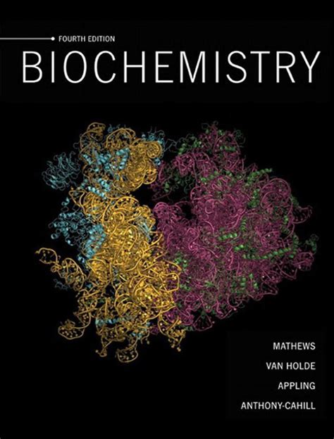 Biochemistry 9th Edition Berg Pdf