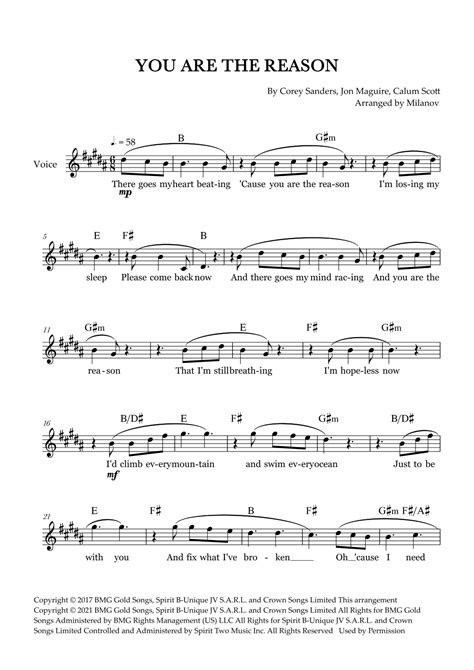 You Are The Reason (arr. Milanov) Sheet Music | Calum Scott | Lead Sheet / Fake Book