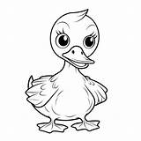 Mewarnai Patinho Pato Bebek Anak Canard Paud Animaux Coloriage Tk 1451  sketch template