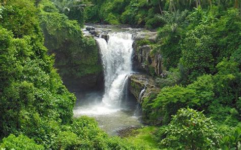 Tegenungan Waterfall Tour | Bali Cheap Car