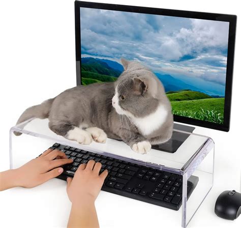 Amazon.com: Anti-Cat Keyboard Cover, Laptop Keyboard Covers cat Proof ...