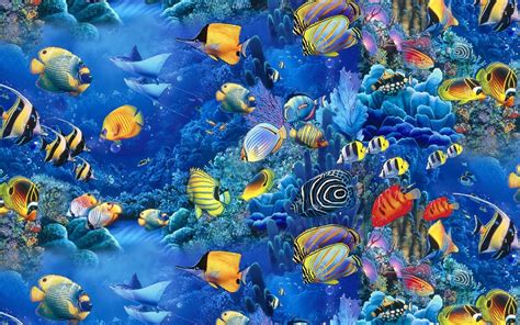 Fish Wallpaper and Screensavers (58+ images)