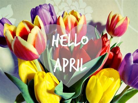 17 Best images about * Hello April! !¡ on Pinterest | April fools ...