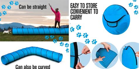 5 Best Dog Agility Tunnels to Get Your Pup Moving!