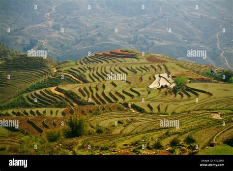 Sapa Rice Terraces Stock Photo - Alamy