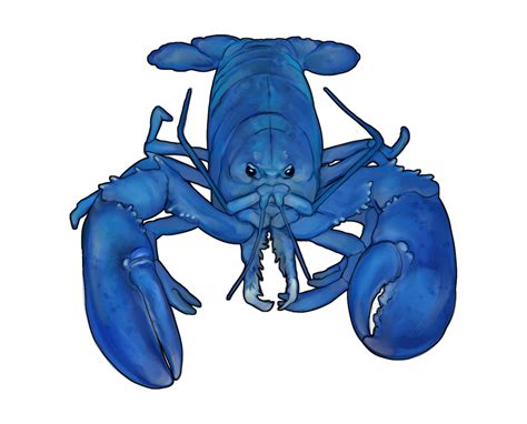 Blue Lobster Png Artwork