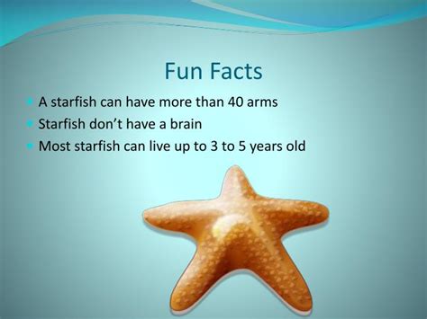 PPT - Starfish PowerPoint Presentation - ID:2276930