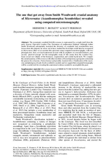 (PDF) The one that got away from Smith Woodward: cranial anatomy of Micrornatus (Acanthomorpha ...