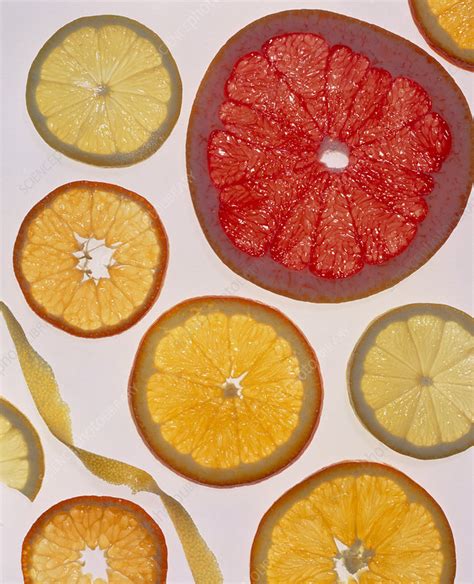 Selection of citrus fruits rich in vitamin C - Stock Image - H110/0865 ...