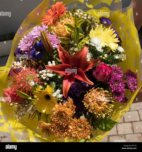 Bouquet of South African flowers Stock Photo - Alamy