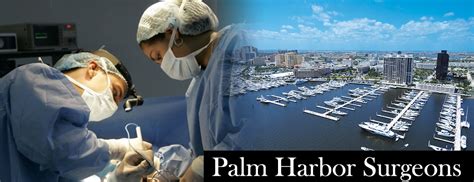 Best Palm Harbor Surgeons Specializing in Mommy Makeover | Beautiful pictures, Harbor, Mommy ...