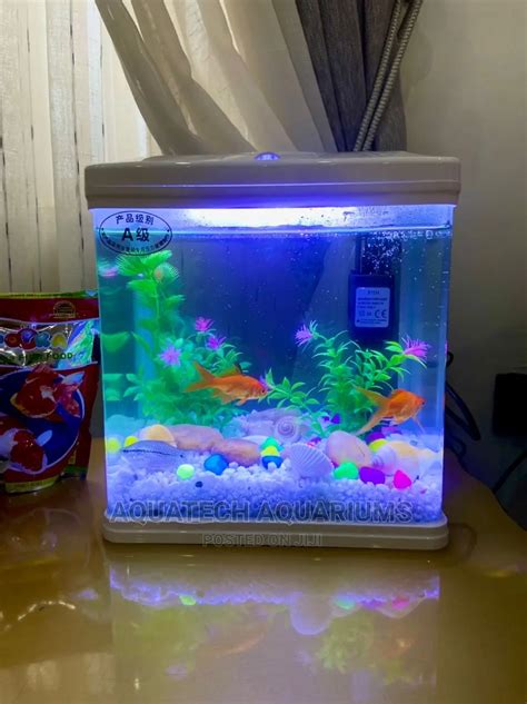 Nano Fish Tank in Ikeja - Fish, Omotayo Emmanuel | Jiji.ng