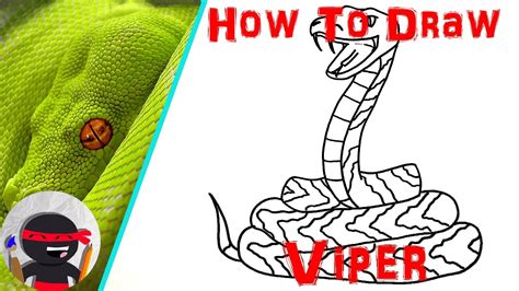 How To Draw a Viper | Easy, Step By Step Tutorials For Beginners - YouTube