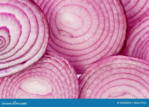 Red Onion Stock Photography - Image: 20525692