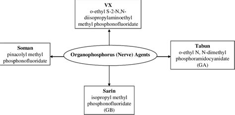 Types of organophosphorus nerve agents. | Download Scientific Diagram