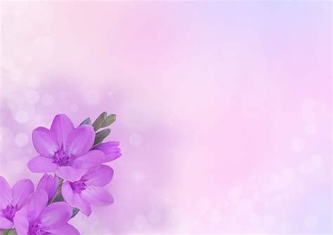 Download Charming Floral Pastels Aesthetic on a Computer Monitor ...