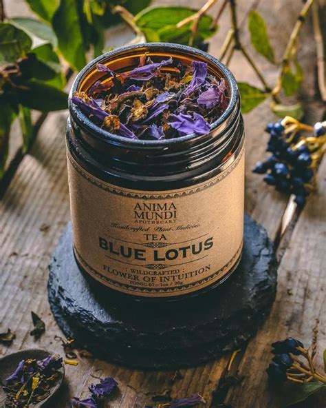 BLUE LOTUS: Flower of Intuition Tea in 2021 | Blue lotus, Lotus tea ...