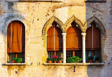 Venetian Gothic Windows stock photo. Image of venetian, gothic - 24082