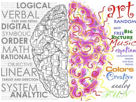 Debunking myth of right-brain and left-brain personality traits | Human ...