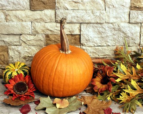 Pumpkin Fall Decor Free Stock Photo - Public Domain Pictures