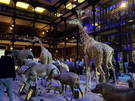 5 Great Museums for Kids in Paris: Family-Friendly Collections - Paris Unlocked