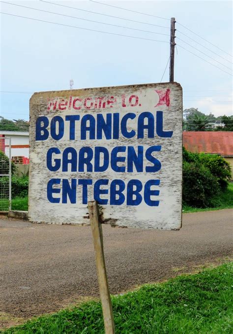 The Best Things to Do In Entebbe Uganda