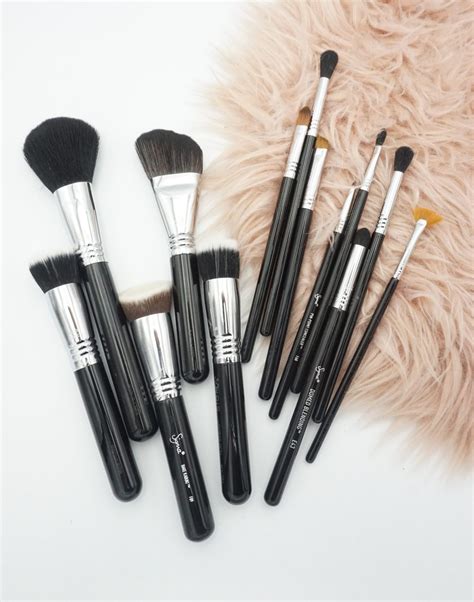 Why You Need These 12 Sigma Brushes In Your Life