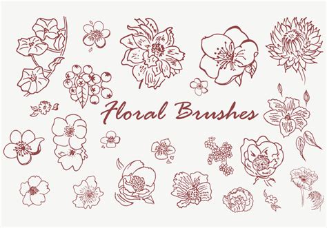 Floral Brushes | Free Photoshop Brushes at Brusheezy!