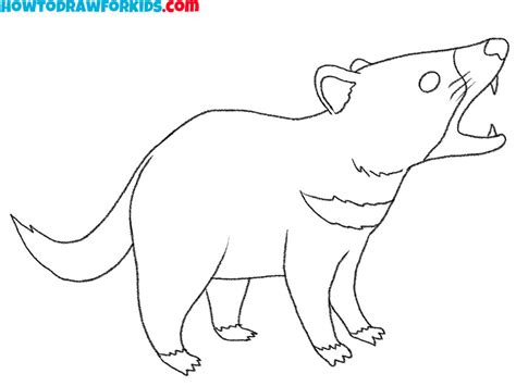 How to Draw a Tasmanian Devil - Easy Drawing Tutorial For Kids