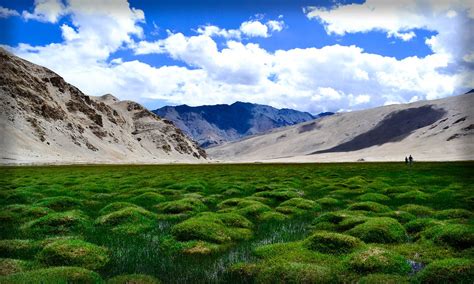 Puga Valley - An unmissable experience in Ladakh