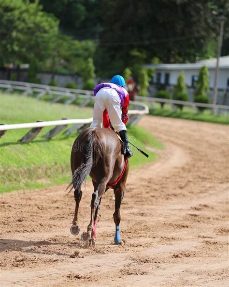 A Racehorse and Jockey in a Horse Race Stock Image - Image of nose, animal: 46186473