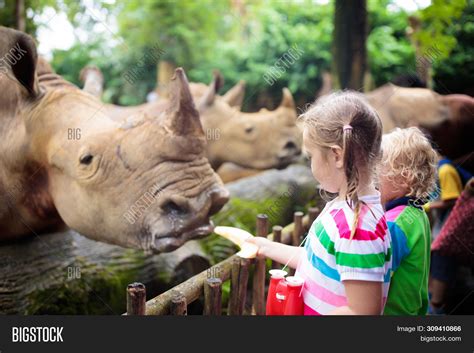 Family Feeding Rhino Image & Photo (Free Trial) | Bigstock