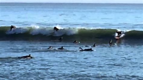 Capitola, California Surfing in January - YouTube