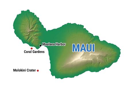 Maui Snorkeling - Molokini Crater & Turtle Gardens