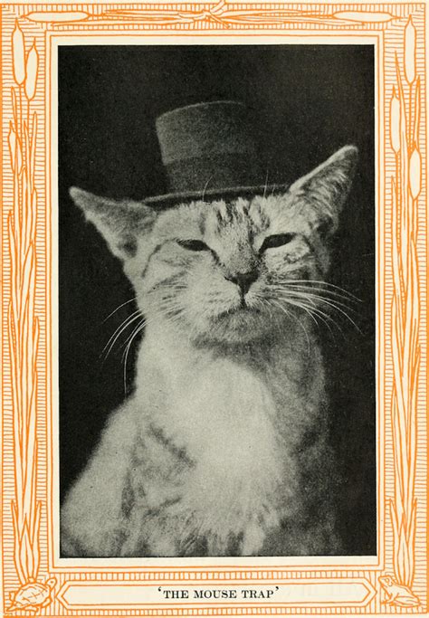 9 Vintage Cat Photos Prove We've Always Been Obsessed