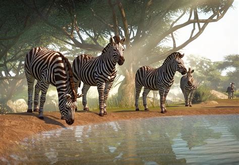 Plains Zebra | Planet Zoo Wiki | Fandom | Plains zebra, Zoo creatures, Zoo