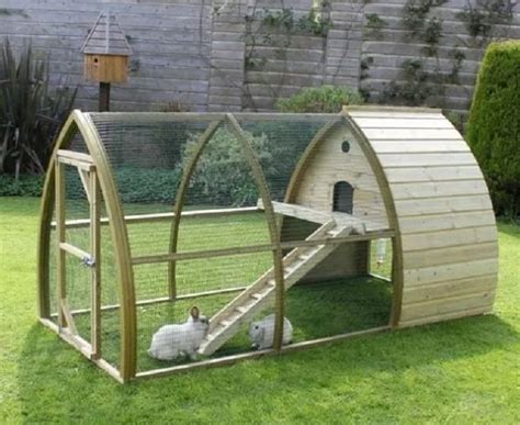 DIY Rabbit Hutch: Follow the easy steps to make your own - All Pet Care