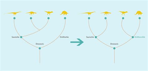 Dinosaur family tree radically rearranged | Natural History Museum