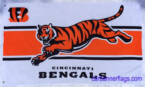 Cincinnati Bengals Flag-3x5ft NFL Banner-100% polyester-super bowl - flagsshop