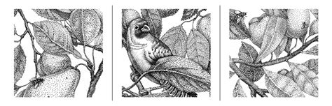 Plants and Animals - stippling study on Behance