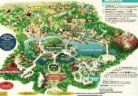 Animal Kingdom Park Map 2024 Pdf - Ninon Anastasie