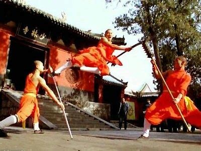 Northern Shaolin Martial Arts