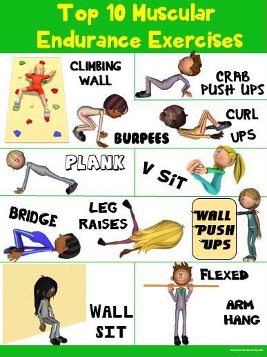 PE Poster: Top 10 Muscular Endurance Exercises Physical Education Activities, Health And ...